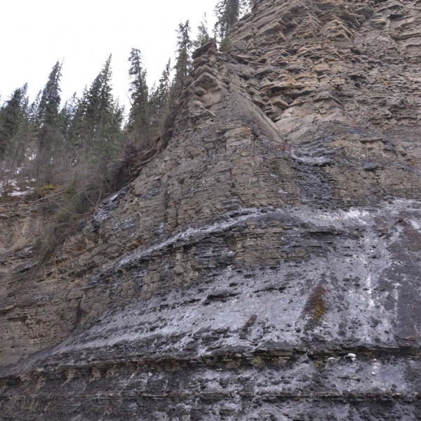 Layers of Sedimentary rocks