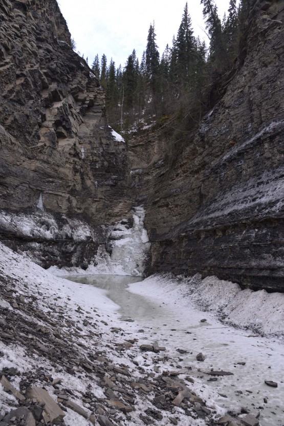 Quality Canyon