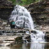 Quality Falls