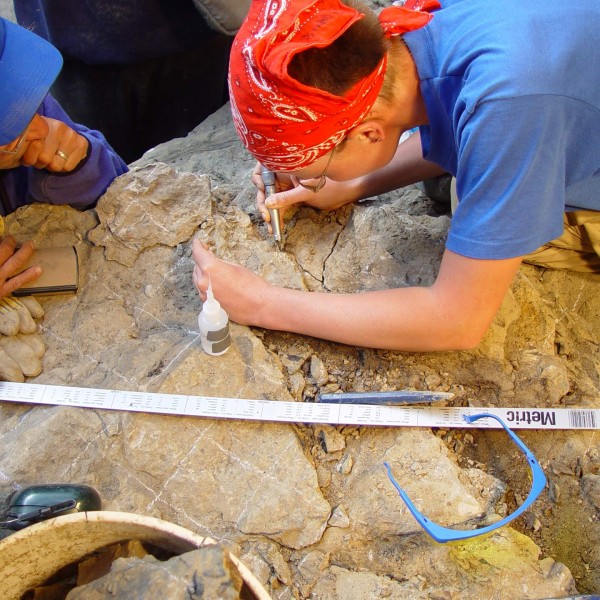 dino-dig-1 Dinosaur Dig at Bergeron Cliffs