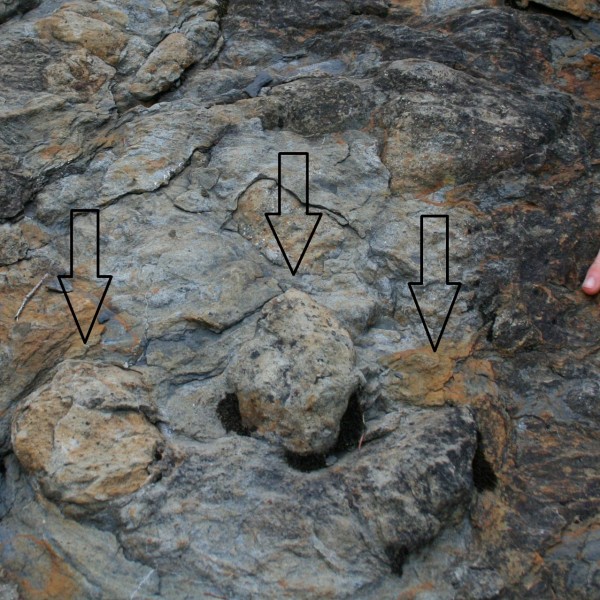 wTepee-dino-track-1
