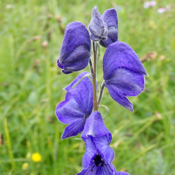 04b