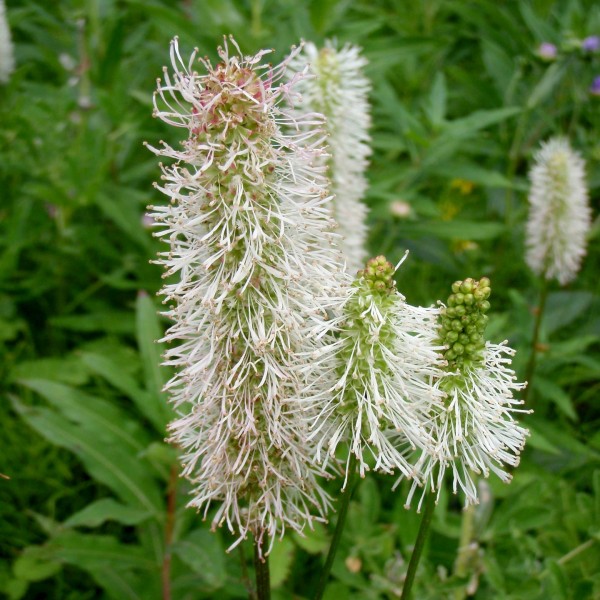 04e