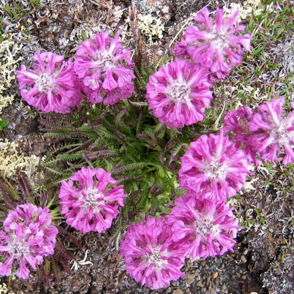 05b