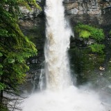 Nesbitts Falls in Flood