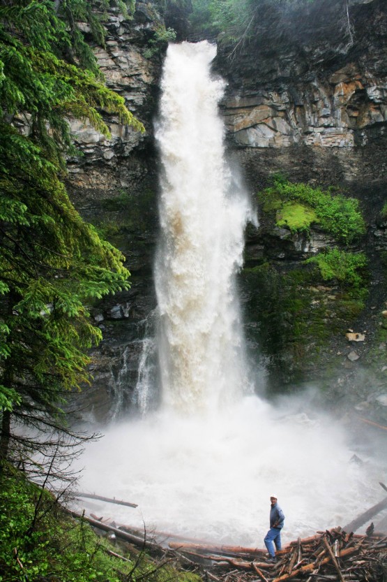 Nesbitts Falls in Flood
