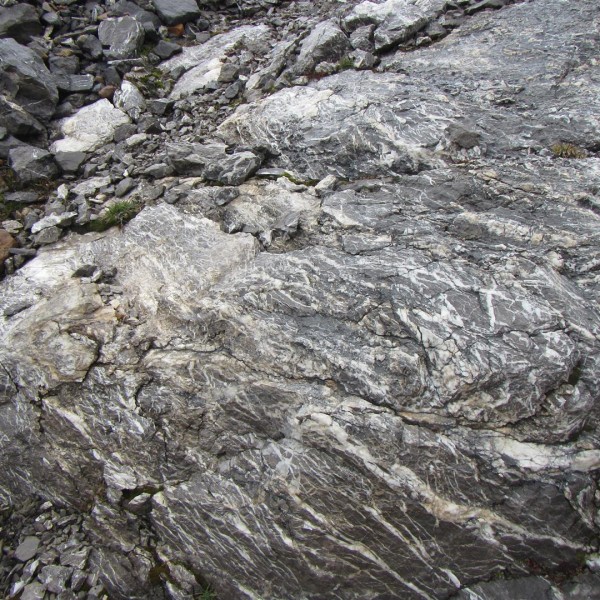 Calcite Veining 2