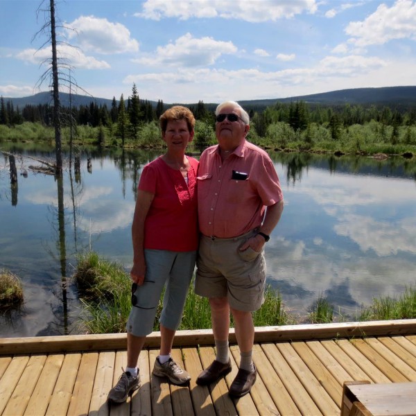 Bullmoose Marshes