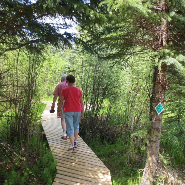 Bullmoose Marshes 2