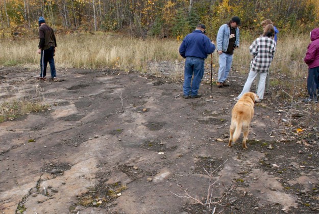 Williston Lake Site