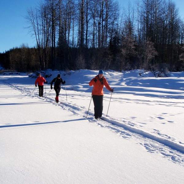 Cross Country Skiing Flatbed Creek