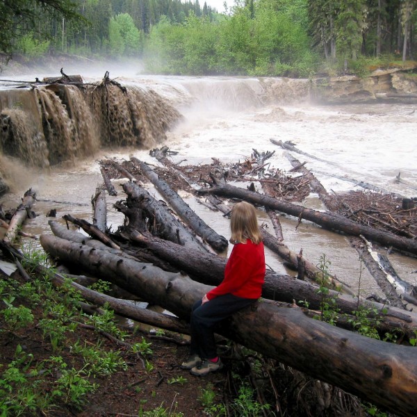 Flatbed Falls in flood