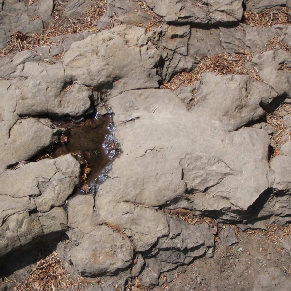 Footprints-2