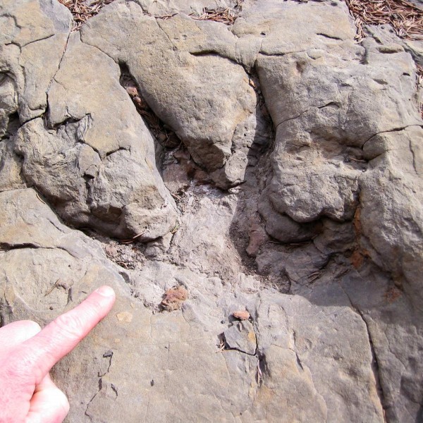 Footprints-3
