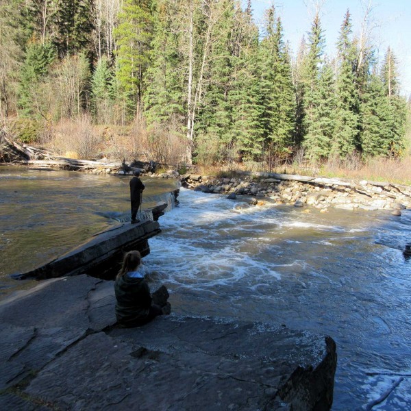 Mini Falls